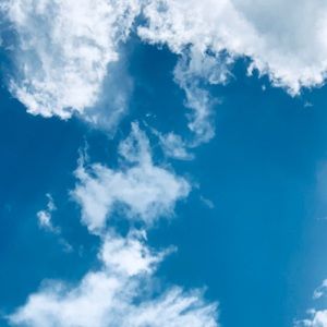 Meet your Posher, Kylie